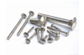 Carriage Bolts view 4