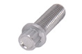 Flange Bolts view 3